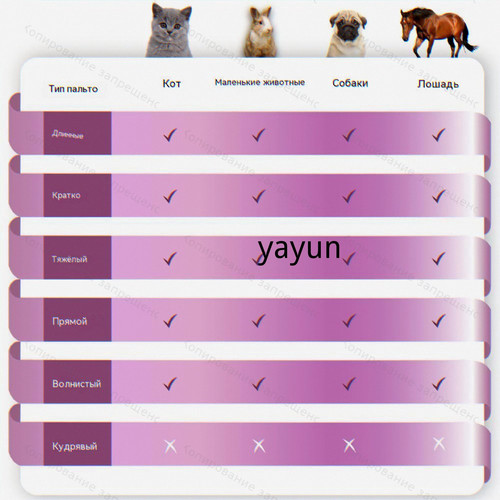 1781068325118.jpg