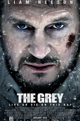 poster.webp