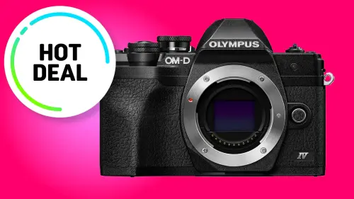 95a3e24389d5.webp