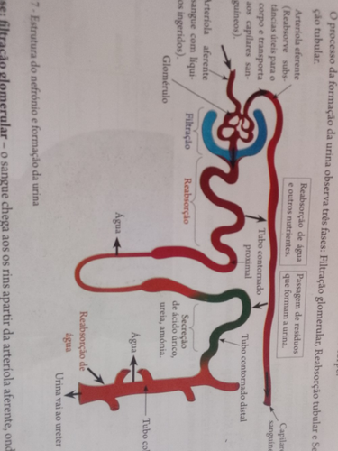 temp.png