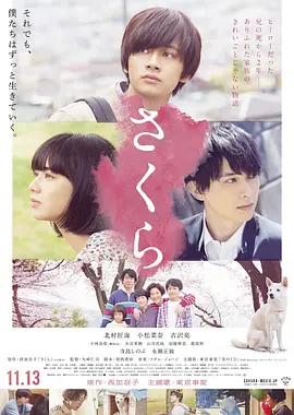 poster.webp
