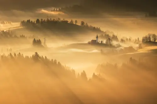 e1c27eea8283.webp