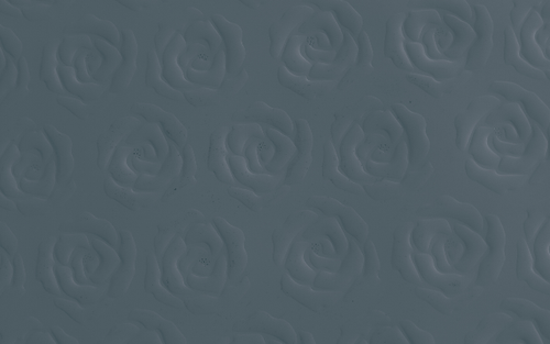 temp.png