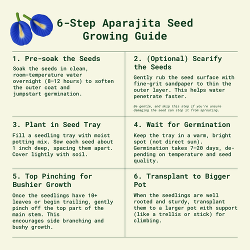 APARAJITA SEED GERMINATION GUIDE 9841383a 9b01 44ae b180 cc58d93da8b2.png