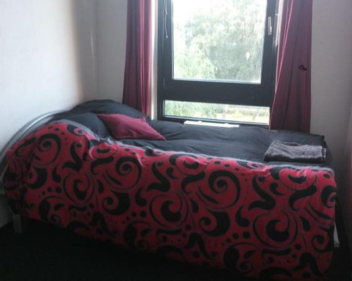 Cheap Room for Rent in Amsterdam Available Now.jpg