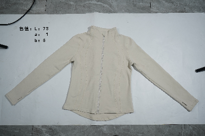 garment 400px.png