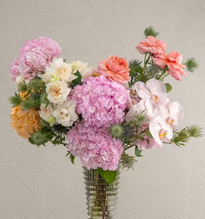 Order Beautiful Orchids Online for Delivery Across Dubai.jpg