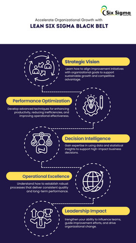 Accelerate Organizational Growth with Lean Six Sigma Black Belt.jpg