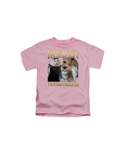 d37 90s Hold On I'm Overstumaled Cat+Baby Pink.jpg