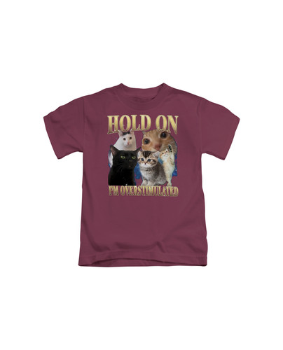 d37 90s Hold On I'm Overstumaled Cat+Burgundy.jpg