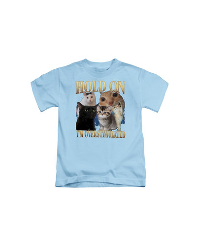 d37 90s Hold On I'm Overstumaled Cat+Light blue.jpg