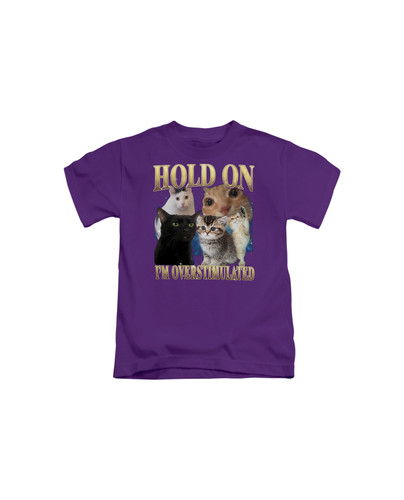 d37 90s Hold On I'm Overstumaled Cat+Purple.jpg