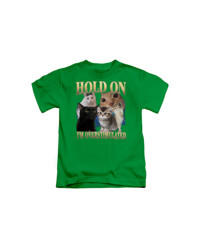 d37 90s Hold On I'm Overstumaled Cat+Irish green.jpg