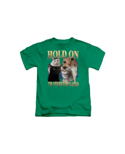 d37 90s Hold On I'm Overstumaled Cat+Bottle green.jpg