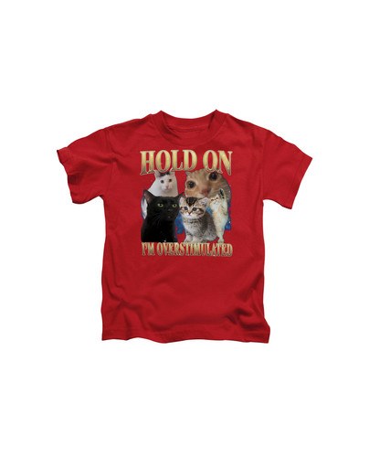 d37 90s Hold On I'm Overstumaled Cat+Red.jpg