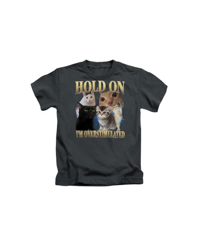 d37 90s Hold On I'm Overstumaled Cat+Black.jpg