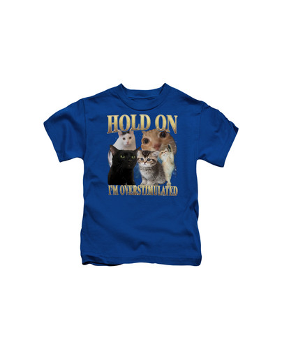 d37 90s Hold On I'm Overstumaled Cat+Royal blue.jpg