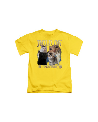d37 90s Hold On I'm Overstumaled Cat+Yellow.jpg