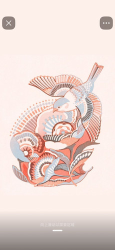 img c54622de4de6.jpg