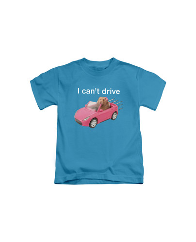 d67 i cant drive cute girl hamster+Sapphire.jpg