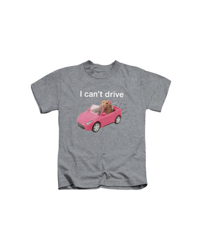 d67 i cant drive cute girl hamster+Heather.jpg