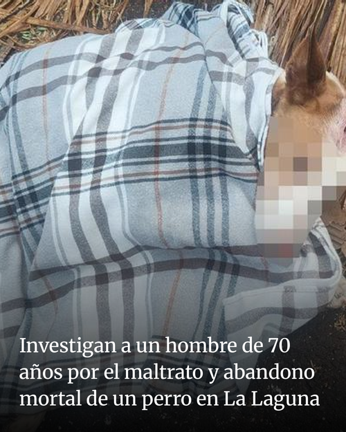 f46fe14b0292.png