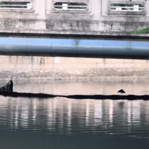 GIF 20260610下午23141034.gif