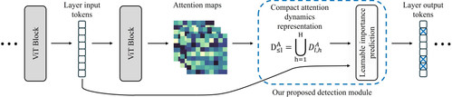 fig2.jpg