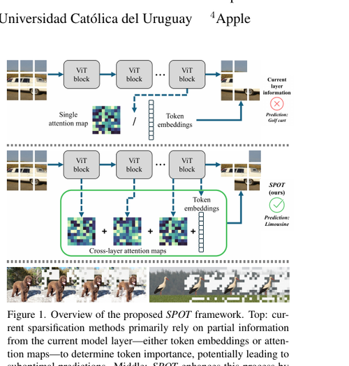 fig1c 01.png