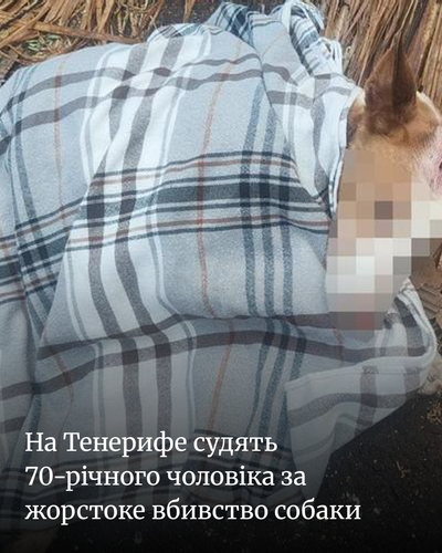 18dc74e13b25.png