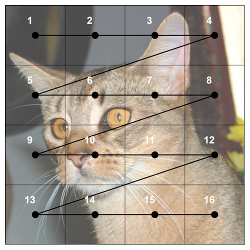 fig2zig.jpg