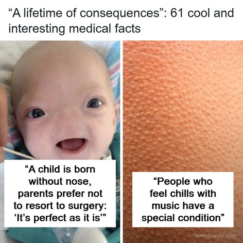medical.jpg