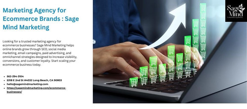 Marketing Agency for Ecommerce Brands Sage Mind Marketing (1).jpg