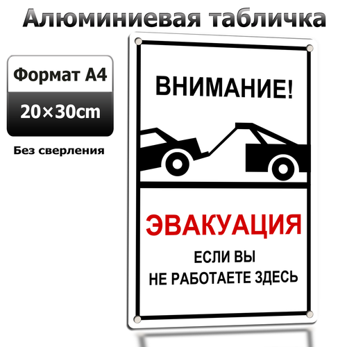 2 LP 0610 25.png