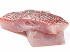 Red snapper slice.png