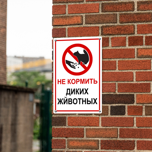 11 LP 0610 05.png