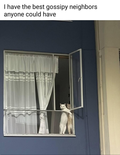 image 2026 06 12T154349.751.png