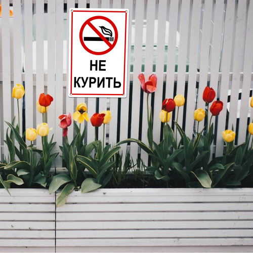 22 LP 0610 11.png