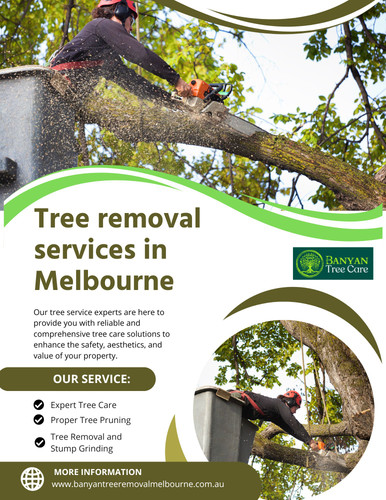 Professional Tree Removal Services in Melbourne for Safe and Efficient Solutions.jpg