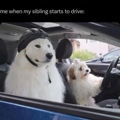 image 2026 06 12T152623.617.png