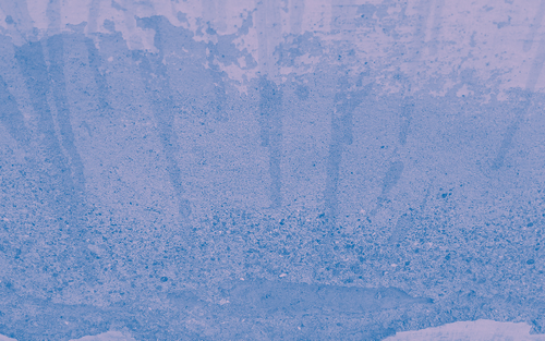 temp.png