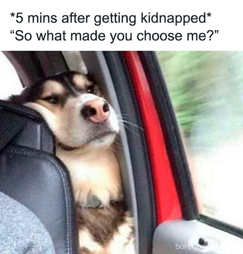funny memes (5).jpg