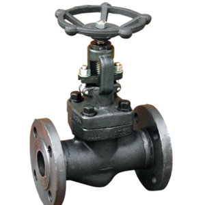 Top Throttling Globe Valve Supplier | JiaHua Fluid.png