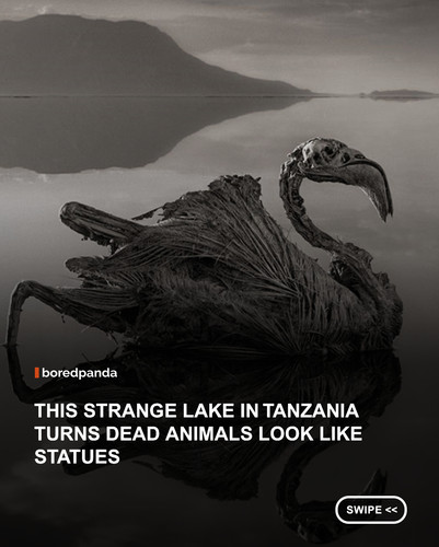 Lake.jpg