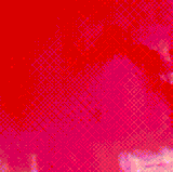 1000340928.gif