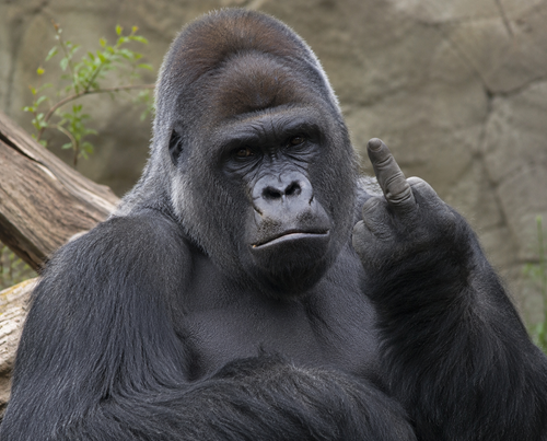9C103197 2718 4F96 BFAA E0E24D5BFE65.png