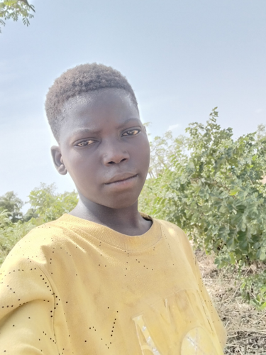 temp.png