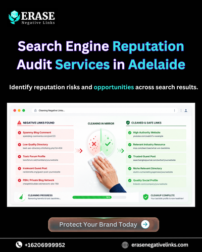 Search Engine Reputation Audit Services in Adelaide Erase Negative Links.png