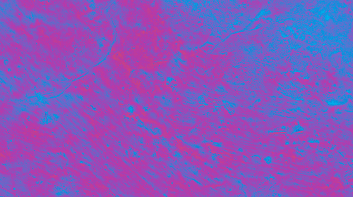temp.png