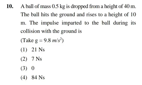 10.webp